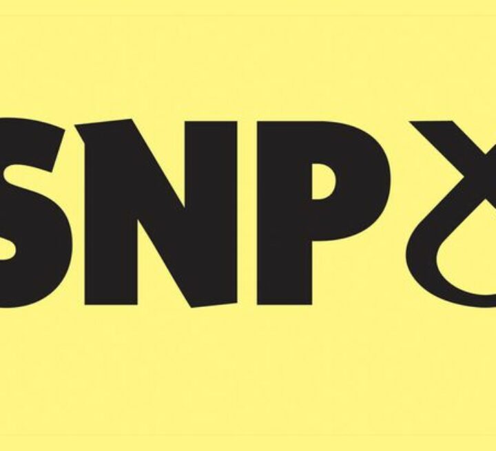 logo snp