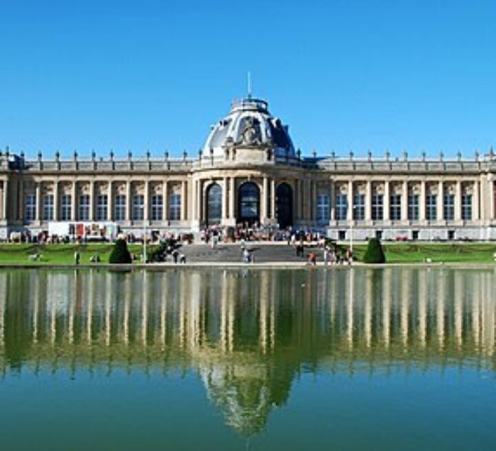 390px-Musée_royal_de_l&rsquo;Afrique_centrale_20
