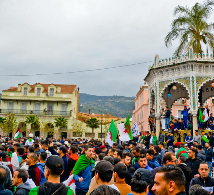Manifestation_contre_le_5e_mandat_de_Bouteflika_(Blida)