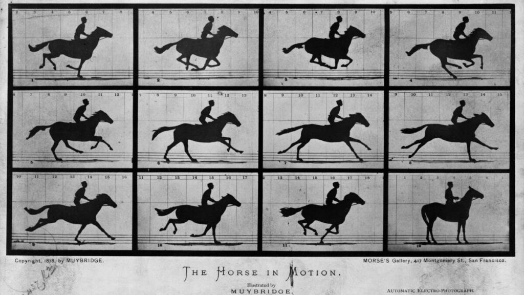 The Horse in Motion. Photographies issues de l’expérience de Muybridge